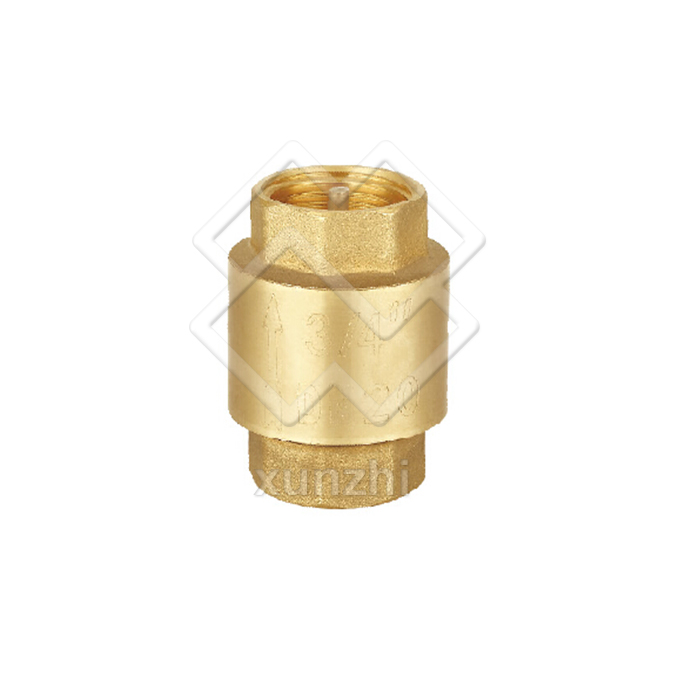 XFM05010 high quality made in Italy Non return valve