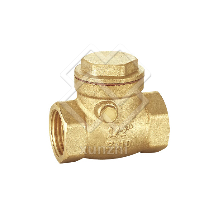 XFM05003  Brass Swing Check Valve 