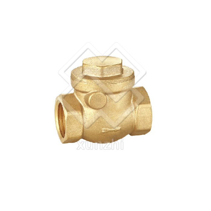 XFM05008 Threaded Bronze or Brass Check Valve Swing horizontal Check Valve