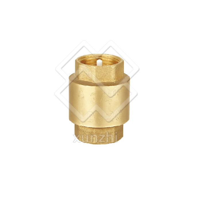 XFM05009 brass hydraulic check valve