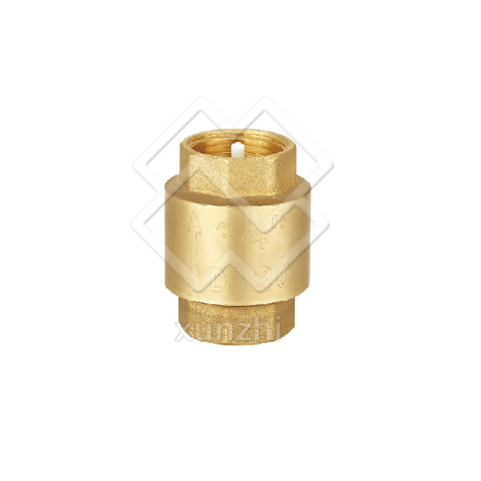 XFM05009 brass hydraulic check valve