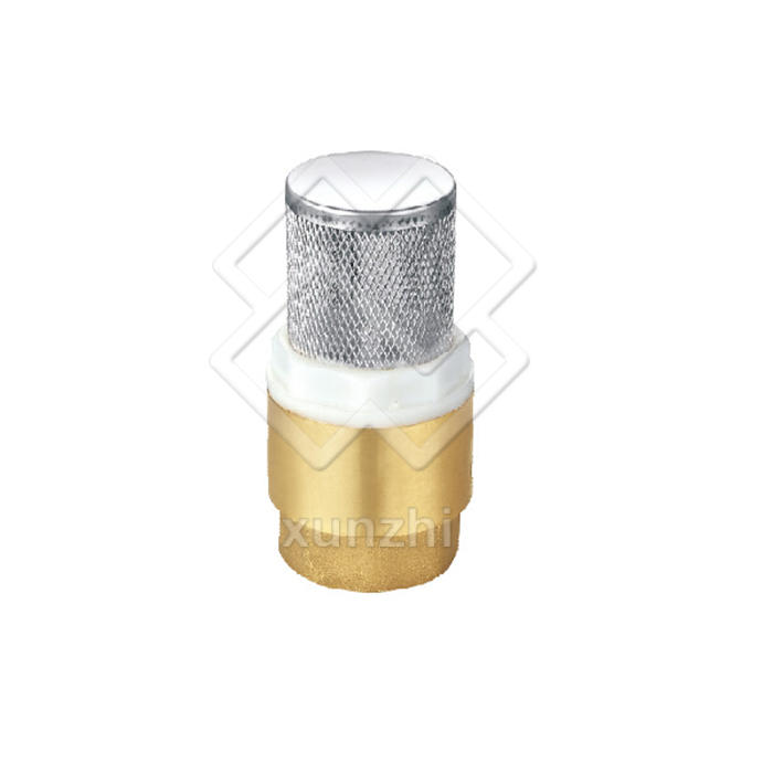 XFM05011 Check valve with ss filter