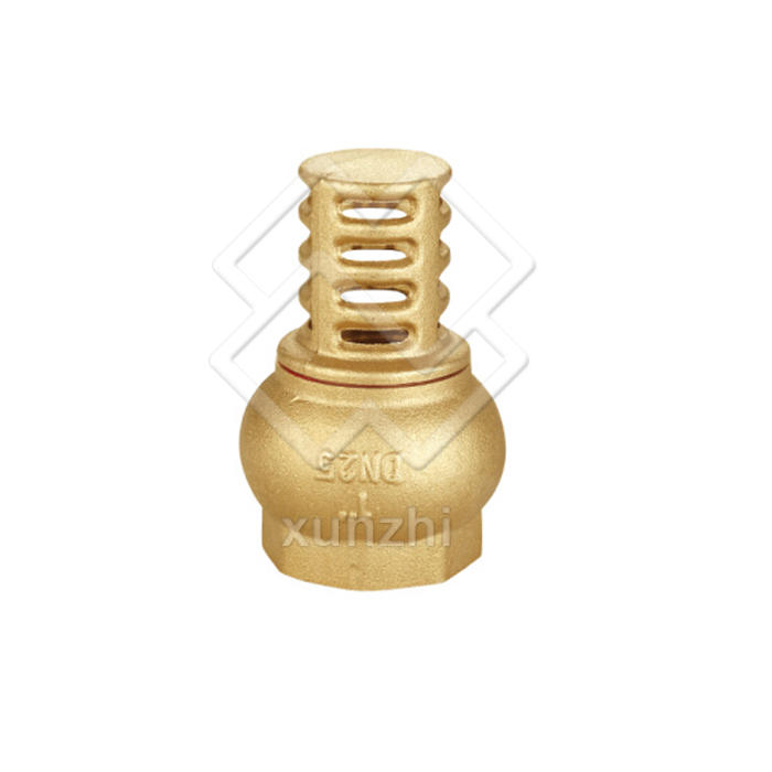 XFM05014 High quality brass check valve