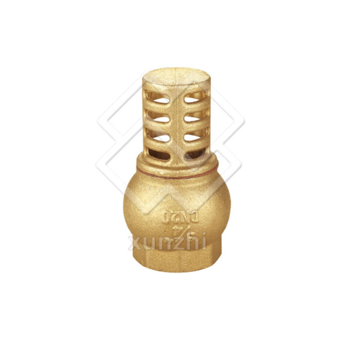 XFM05015 Factory direct brass check valve